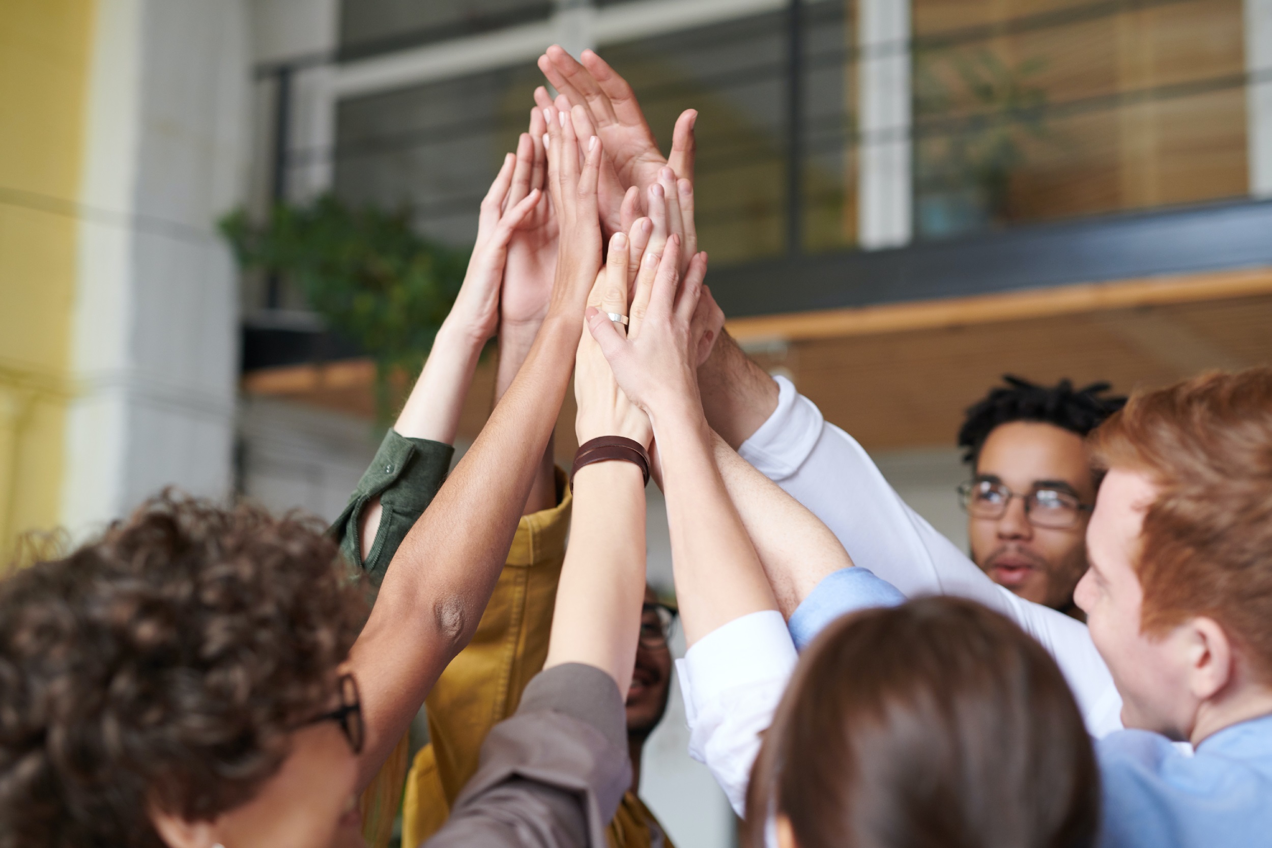 FrancescoPecoraro.com_Building a Strong Company Culture The Key to Long-Term Success