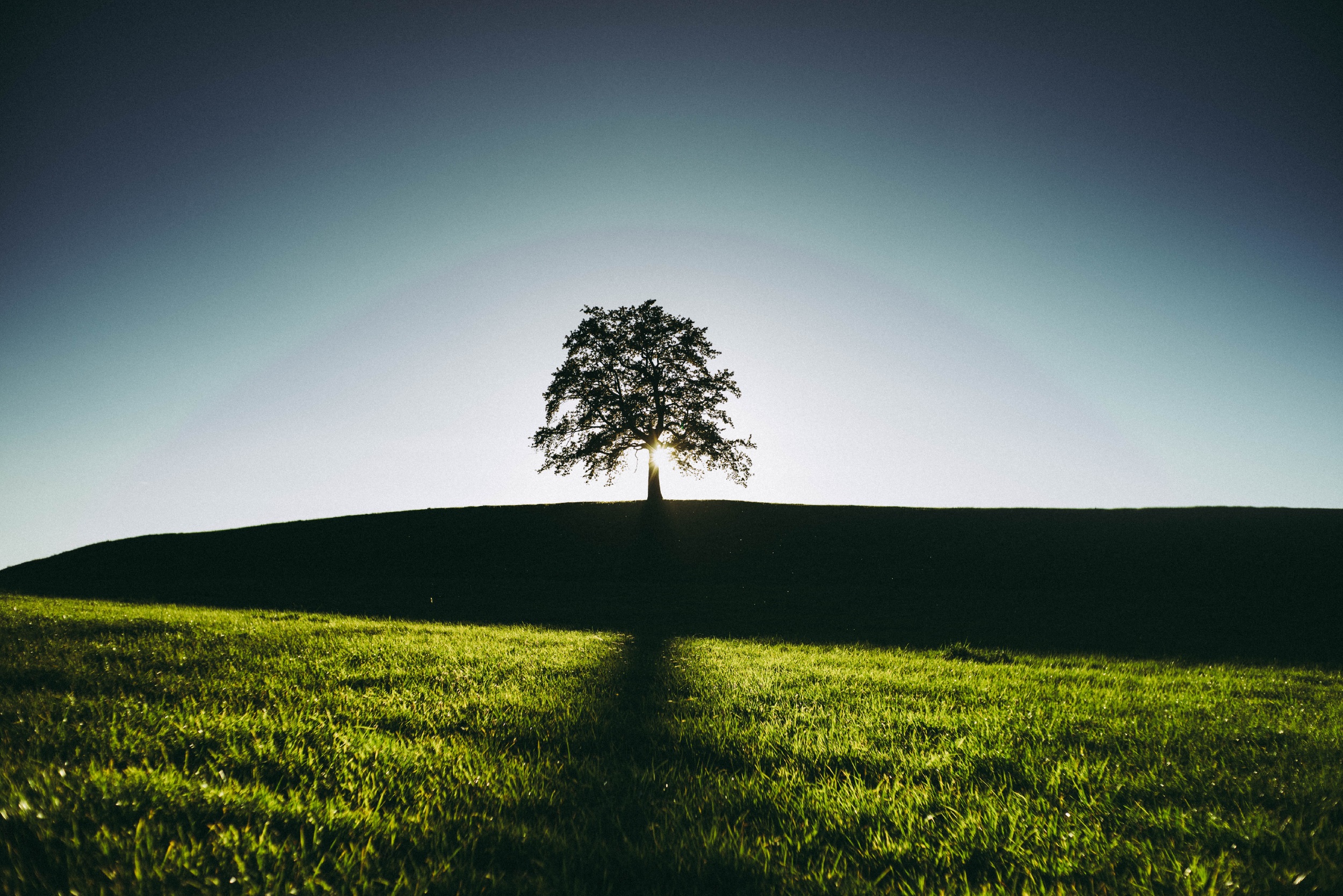 FrancescoPecoraro.com_Creating a Culture of Abundance The Path to Sustainable Leadership Success