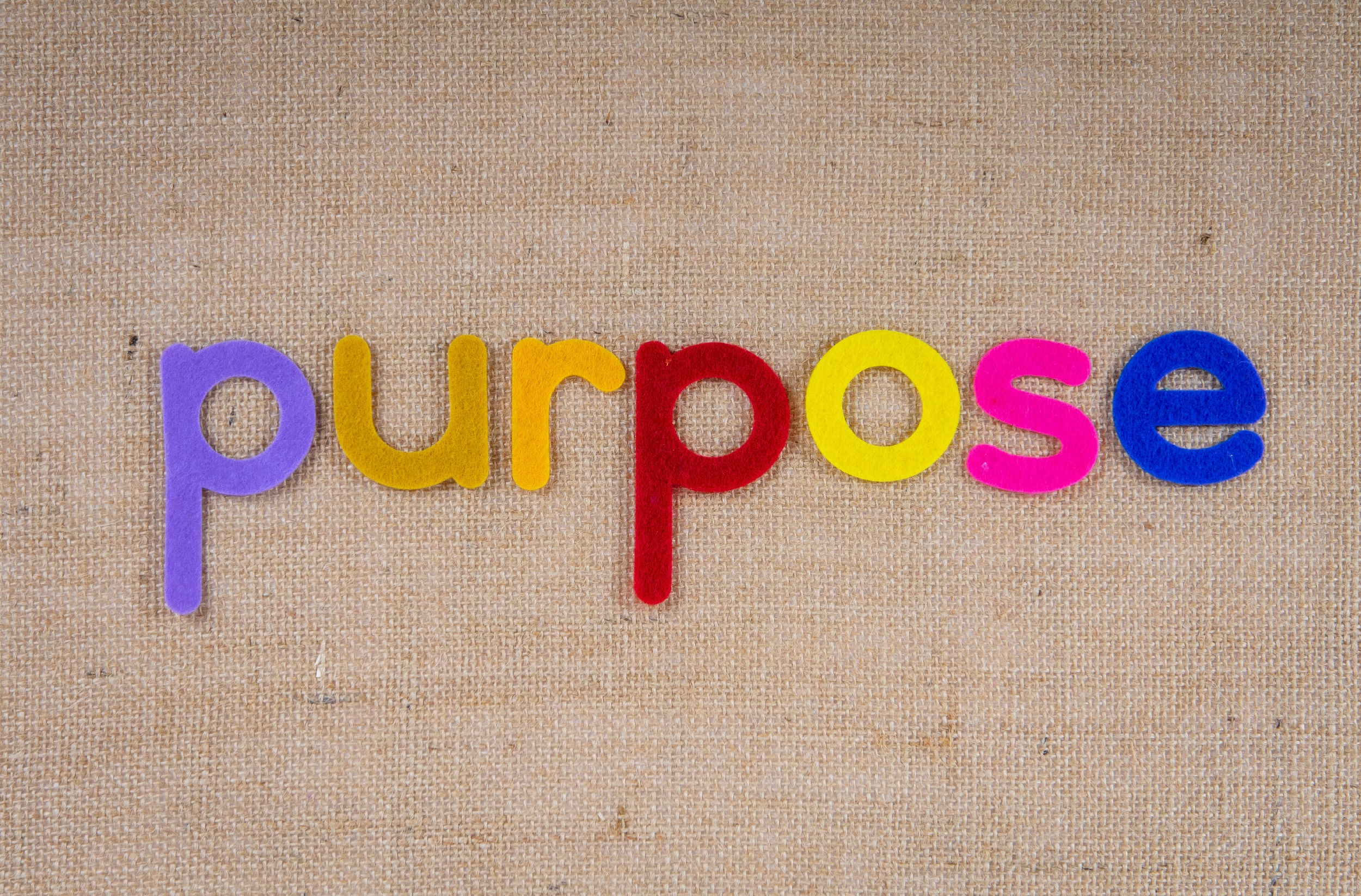 FrancescoPecoraro.com_Leading with Purpose Embracing a Higher Cause for Sustainable Success