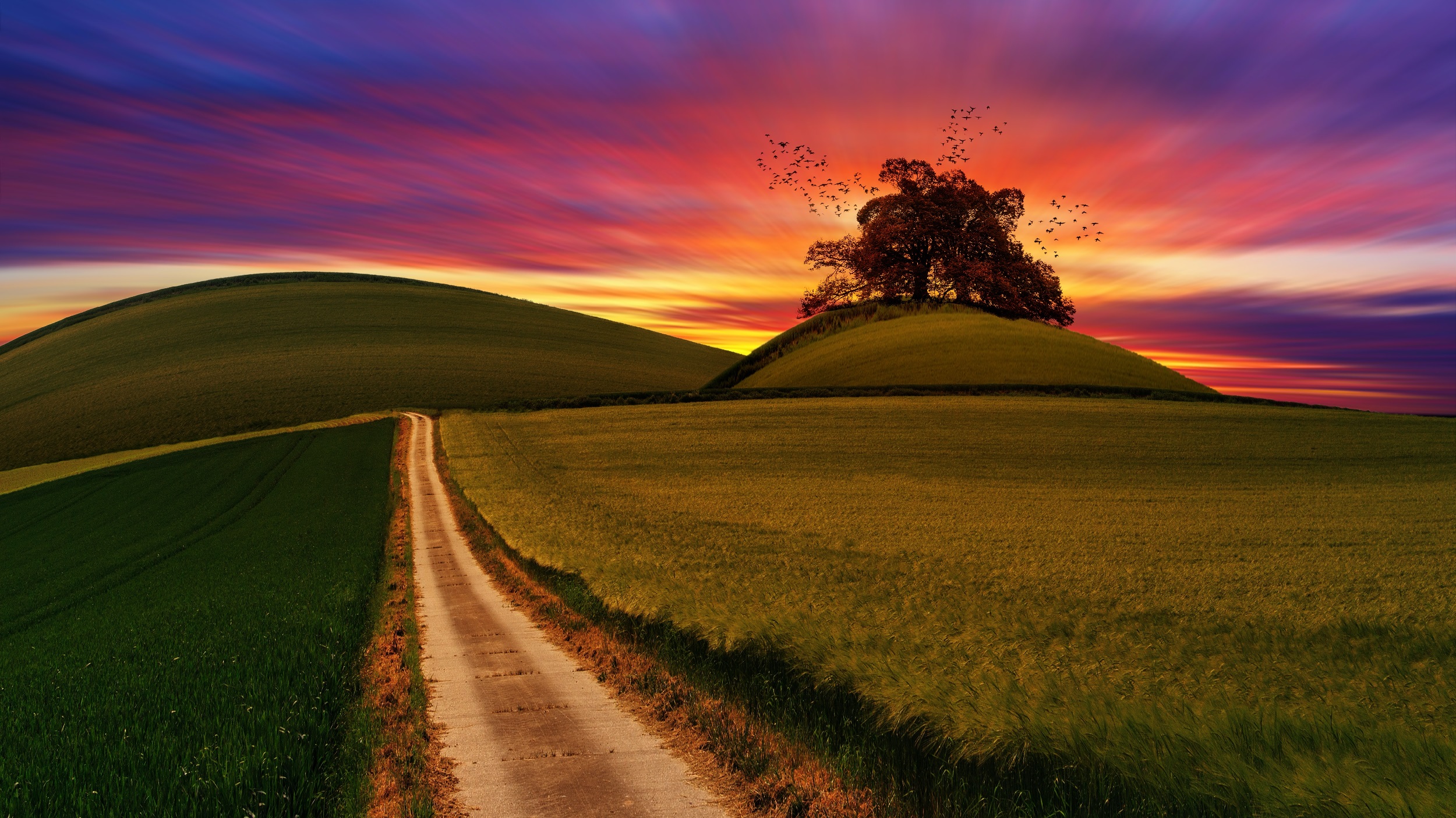 FrancescoPecoraro.com_Paving Pathways to Prosperity Crafting Business Plans That Guarantee Success