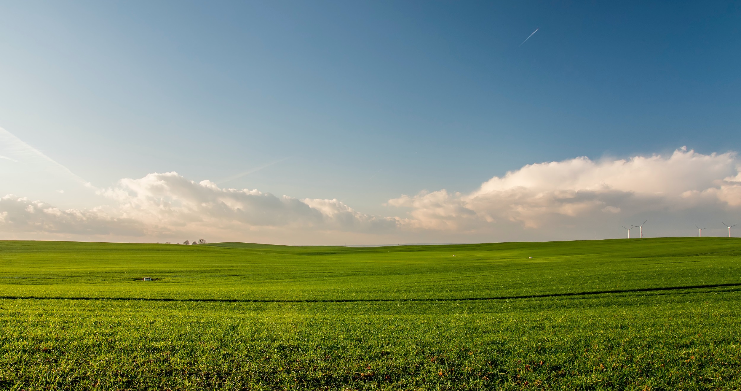 FrancescoPecoraro.com_Navigating the Green Horizon Business Sustainability Unveiled